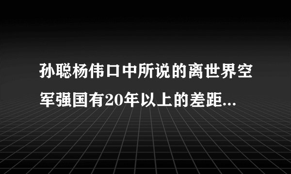 孙聪杨伟口中所说的离世界空军强国有20年以上的差距什么意思是不是指美国？还是传统空军强国，还有20