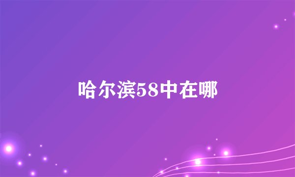 哈尔滨58中在哪