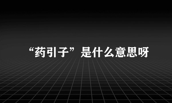 “药引子”是什么意思呀