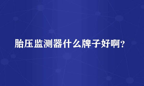 胎压监测器什么牌子好啊？