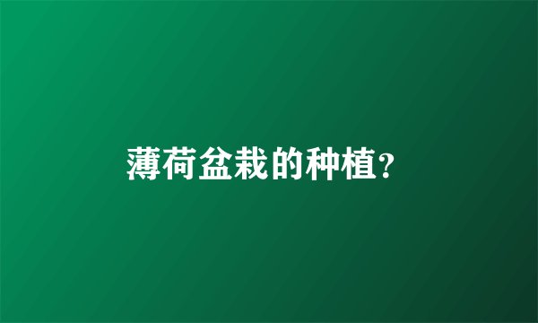 薄荷盆栽的种植？