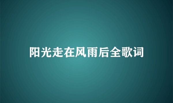 阳光走在风雨后全歌词