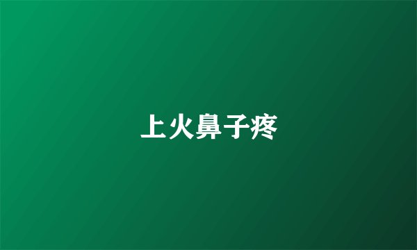 上火鼻子疼