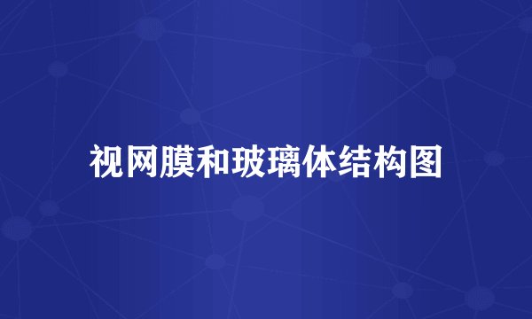 视网膜和玻璃体结构图