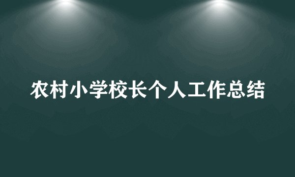 农村小学校长个人工作总结
