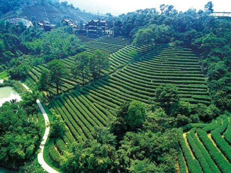 梅家坞景区的历史由来