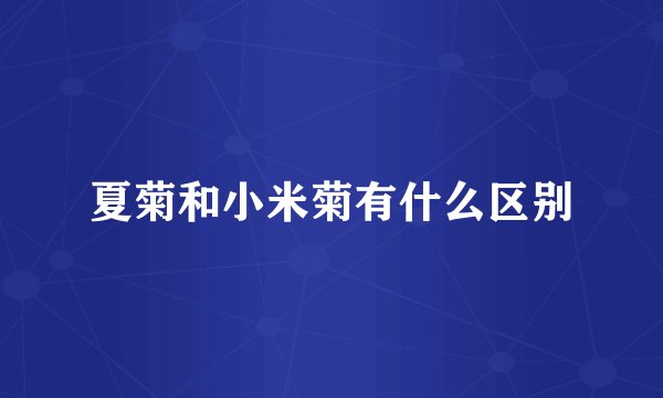 夏菊和小米菊有什么区别
