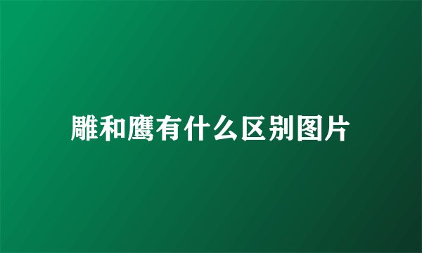 雕和鹰有什么区别图片