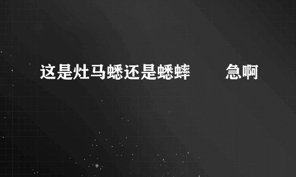 这是灶马蟋还是蟋蟀       急啊