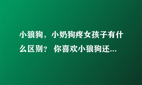 小狼狗，小奶狗疼女孩子有什么区别？ 你喜欢小狼狗还是小奶狗？