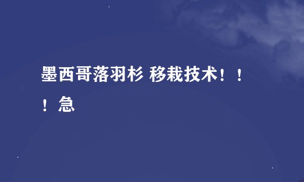 墨西哥落羽杉 移栽技术！！！急