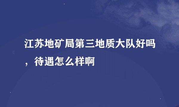 江苏地矿局第三地质大队好吗，待遇怎么样啊