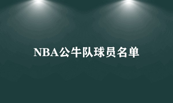 NBA公牛队球员名单