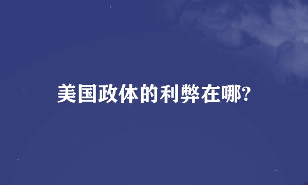 美国政体的利弊在哪?