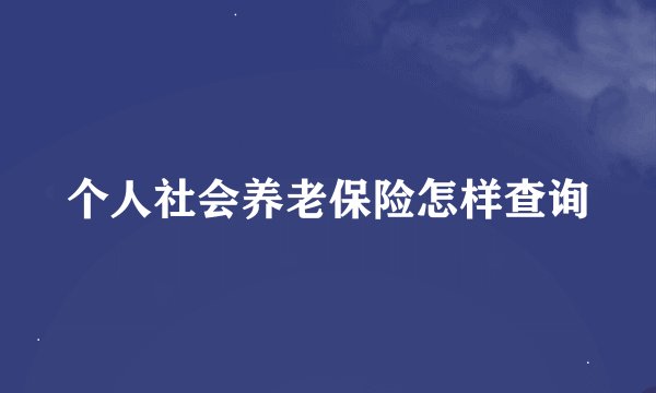 个人社会养老保险怎样查询