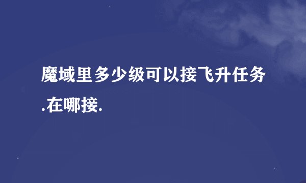 魔域里多少级可以接飞升任务.在哪接.
