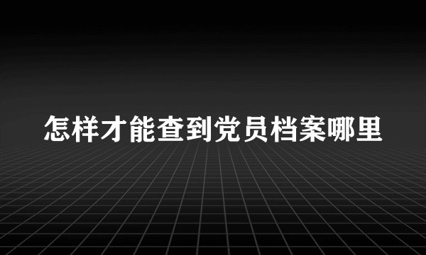 怎样才能查到党员档案哪里