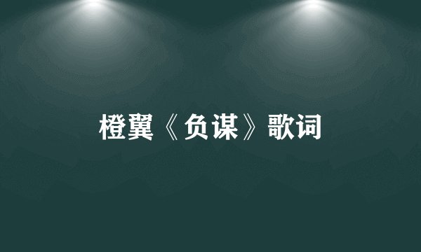 橙翼《负谋》歌词