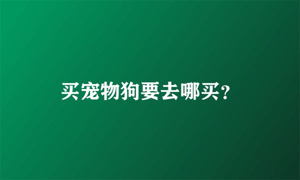 买宠物狗要去哪买？