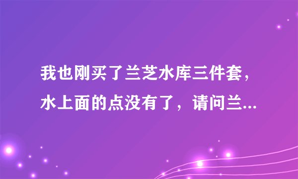 我也刚买了兰芝水库三件套，水上面的点没有了，请问兰芝是什么时候开始改LOGO的啊？