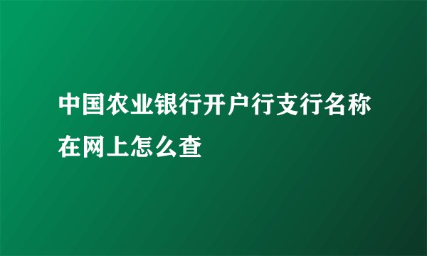 中国农业银行开户行支行名称在网上怎么查