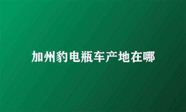 加州豹电瓶车产地在哪