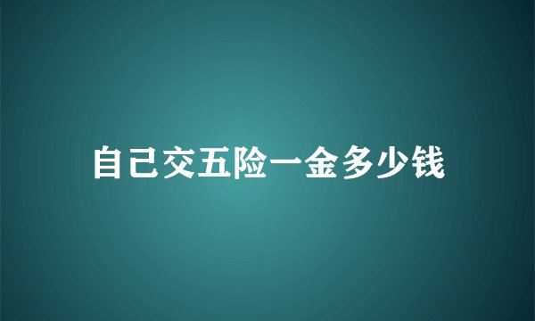 自己交五险一金多少钱
