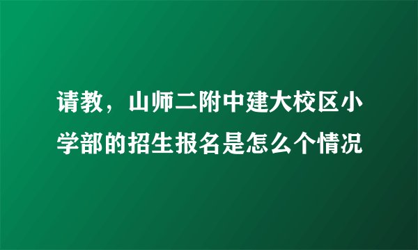 请教，山师二附中建大校区小学部的招生报名是怎么个情况