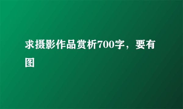 求摄影作品赏析700字，要有图