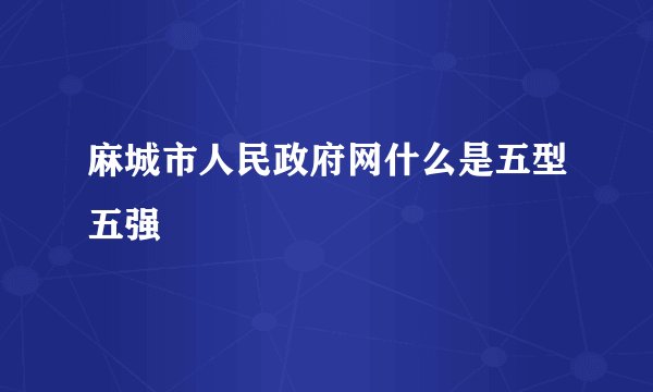 麻城市人民政府网什么是五型五强