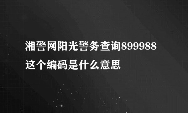 湘警网阳光警务查询899988这个编码是什么意思