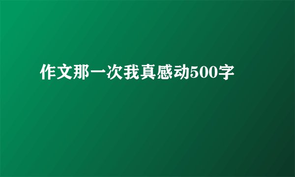 作文那一次我真感动500字