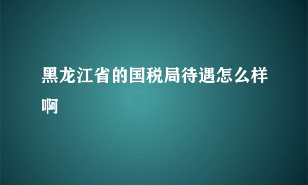 黑龙江省的国税局待遇怎么样啊