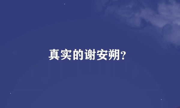 真实的谢安朔？