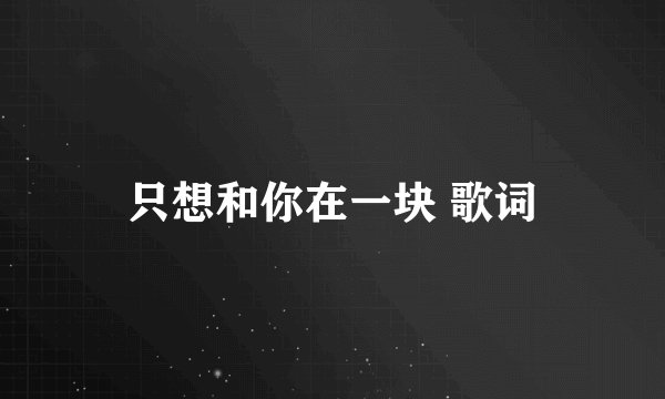 只想和你在一块 歌词