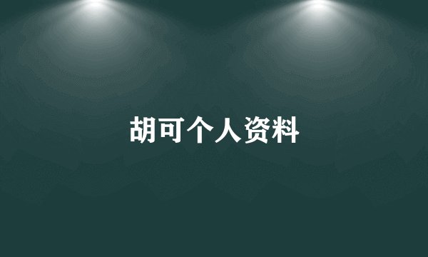 胡可个人资料