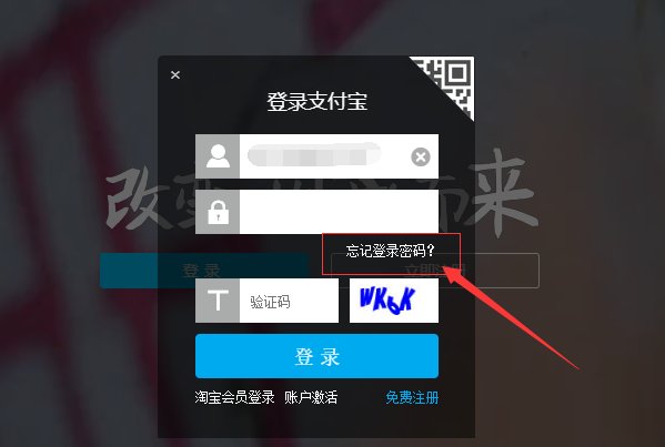 手机注册的支付宝没有登录密码怎么办啊