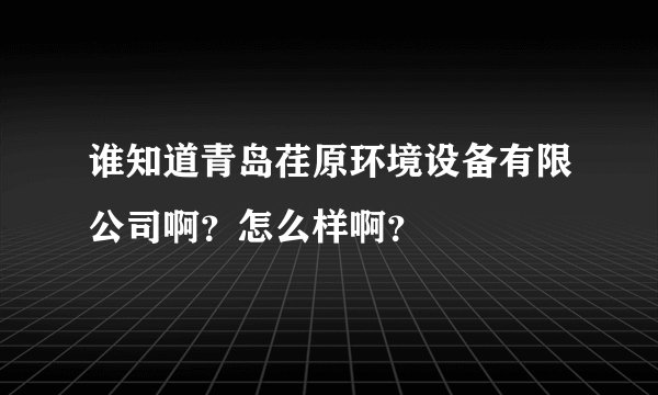 谁知道青岛荏原环境设备有限公司啊？怎么样啊？
