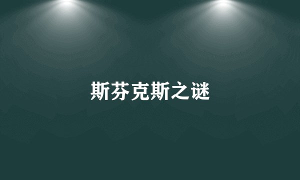 斯芬克斯之谜