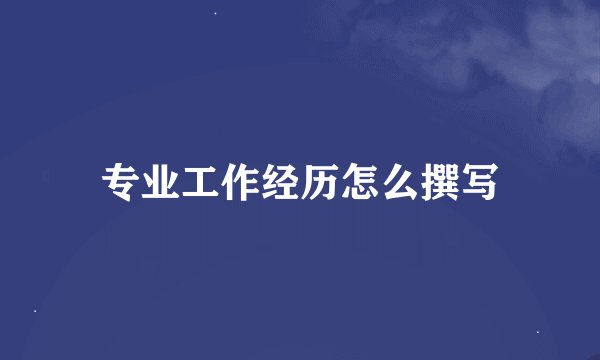 专业工作经历怎么撰写