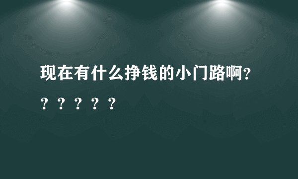 现在有什么挣钱的小门路啊？？？？？？