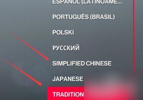 杀手2怎么设置成中文？