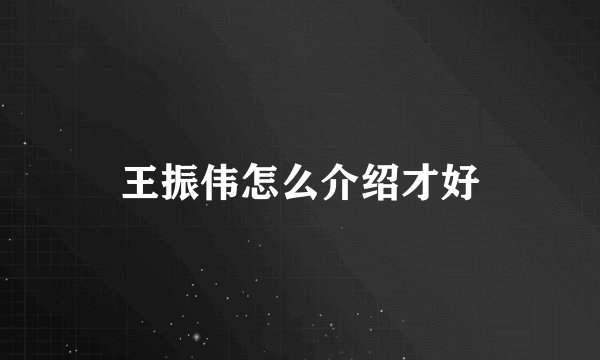 王振伟怎么介绍才好