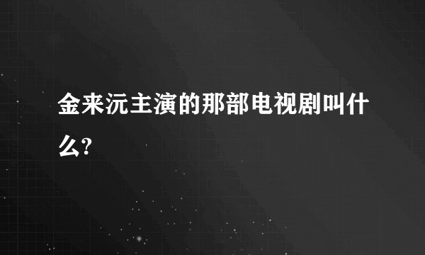 金来沅主演的那部电视剧叫什么?