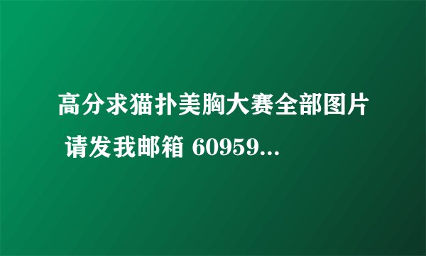 高分求猫扑美胸大赛全部图片 请发我邮箱 609598332@qq.com