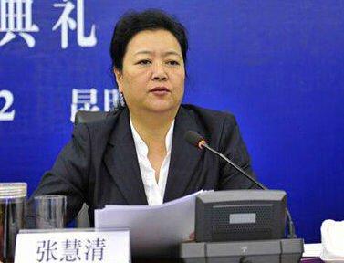 张慧清的人物活动