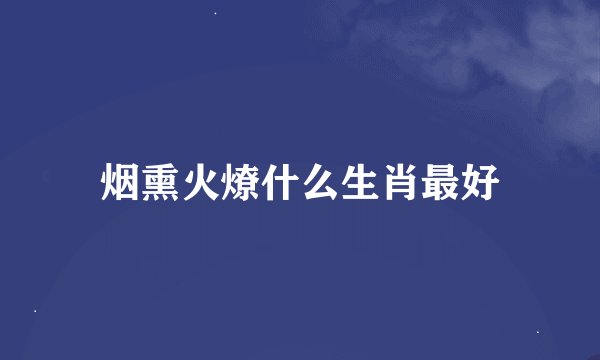 烟熏火燎什么生肖最好