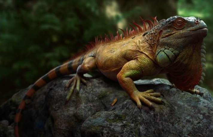 动植物中被称作“活化石”的有哪些？