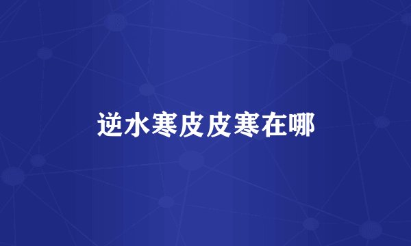 逆水寒皮皮寒在哪