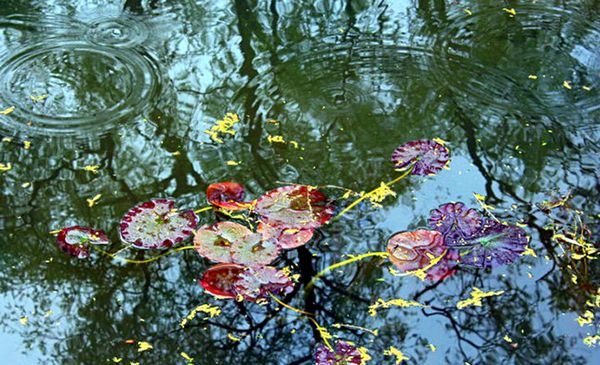 春雨就像什么一样轻轻地落到地上我要答案是什么？